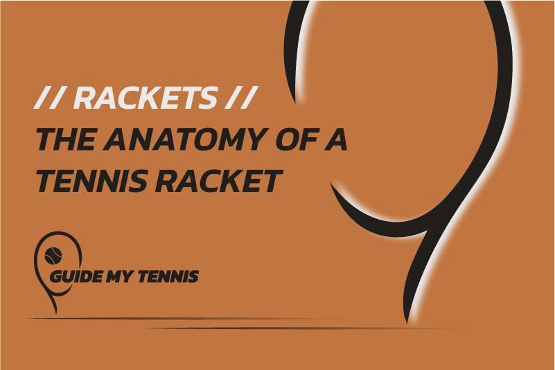 the Anatomy of a Tennis Racket - Blog Banner
